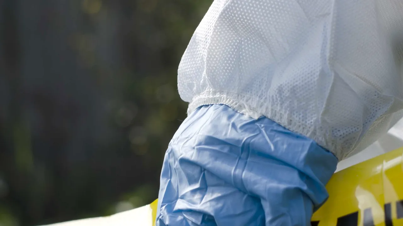 Descoperire șocantă: Cadavrul unui bărbat a fost găsit pe un câmp din județul Mehedinți, sfâșiat de animale