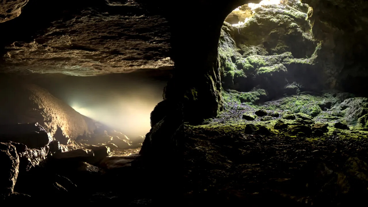 Misterioasa peșteră din România care i-a fascinat pe cercetători. A fost descoperită pe timpul lui Nicolae Ceaușescu și are un ecosistem unic