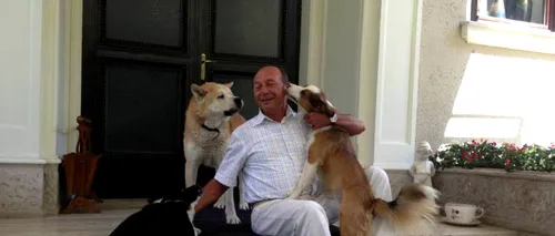 Fotografii cu președintele Băsescu înconjurat de câinii săi, postate pe Facebook. Dacă îi iubești cu adevărat, îi iei acasă!
