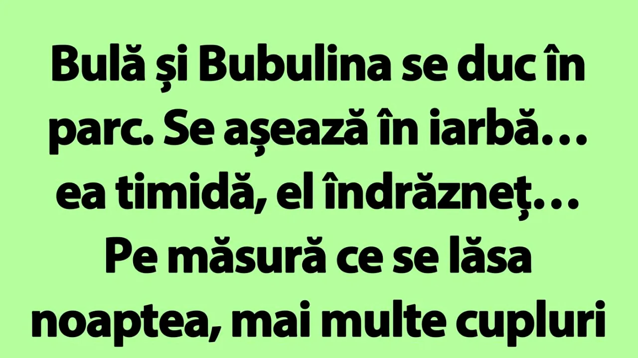 Banc | Bulă, Bubulina și date-ul nocturn din parc