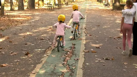 VIDEO EXCLUSIV | Cine mai salvează Parcul Herăstrău? Grădina din nordul Capitalei este DEPLORABILĂ, cu alei sparte, bănci rupte și vegetație uscată