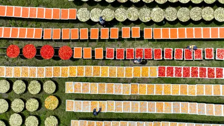 Fermierii din ROMÂNIA nu sunt încântați de ajutoarele financiare pentru sere