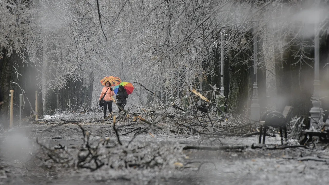 Vremea se încălzește! Miercuri vor fi 14 grade Celsius
