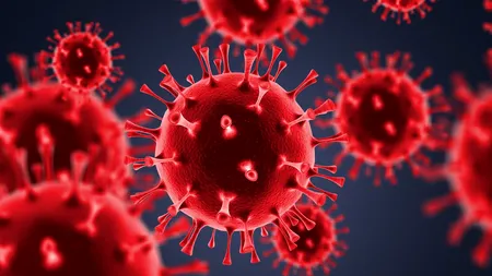 O nouă tulpină a coronavirusului a fost descoperită în Cipru. A fost denumită Deltacron