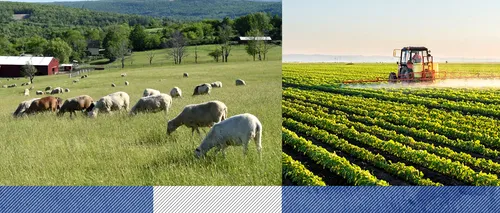 Comisia Europeană a aprobat modificările Planului Strategic pentru Politica Agricolă Comună al României. Care sunt beneficiile pentru fermieri