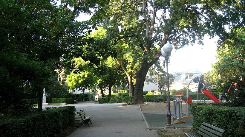 O bătrână care nu s-a mai întors acasă fiindcă a uitat unde stă, găsită de jandarmi într-un parc din Galați