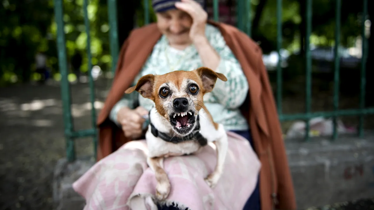 Mediafax Foto a lansat albumul de fotografie 