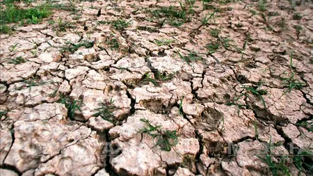 Agricultorii, nemulțumiți de durata evaluării pagubelor produse de secetă