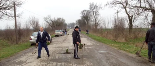 Protest inedit la Arad: cum arată acum un drum după ce s-au plantat copaci în gropi