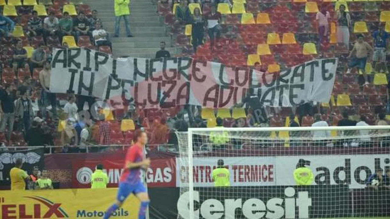 Decizii CNCD:Safta - 1000 de lei amendă, Stoica - avertisment, mesajele galeriei Stelei sunt rasiste