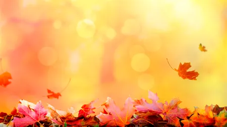 Vremea se schimbă radical! Când vine toamna, cu adevărat, în România. Prognoza meteo actualizată