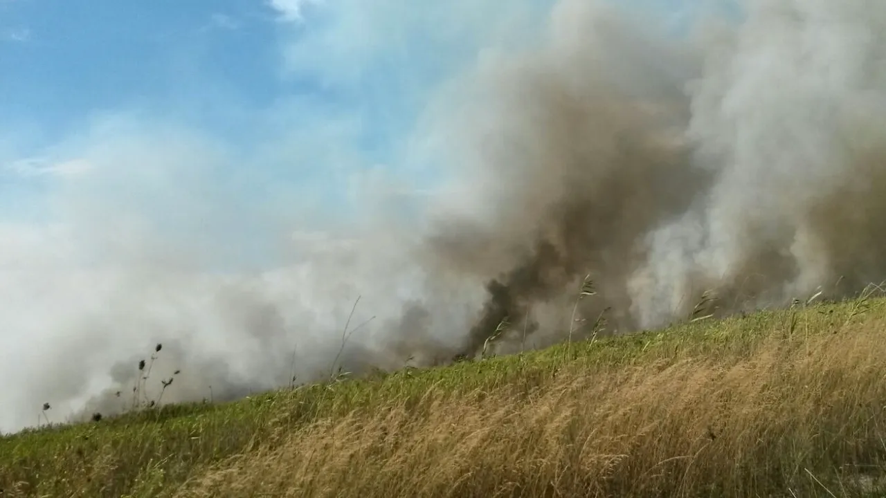 Incendiu de amploare în zona plajei de la Vadu