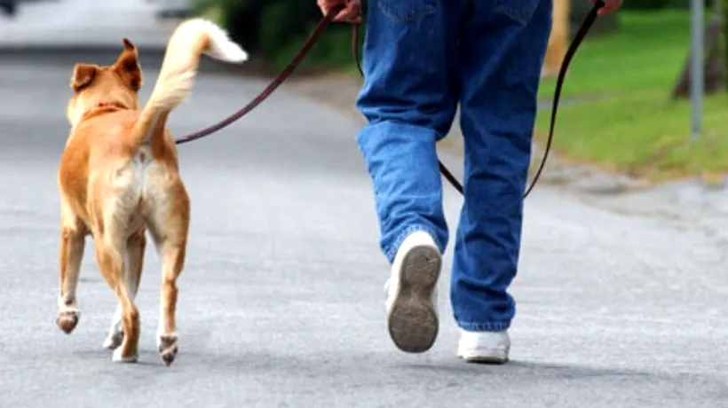 Surpriza de care a avut parte un britanic ieșit la plimbare cu câinele. FOTO