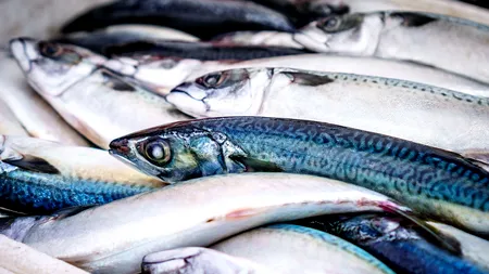 Noi rezultate, în cazul fetiței și a bunicii sale care au decedat după ce au mâncat pește, arată că produsul conținea BACTERII periculoase