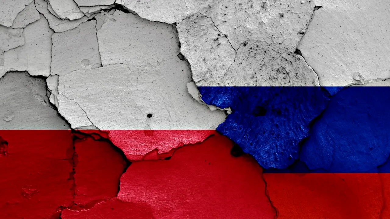 Polonia avertizează asupra unei posibile INTERFERENȚE a Rusiei în campania electorală, cu trei zile înainte de alegeri