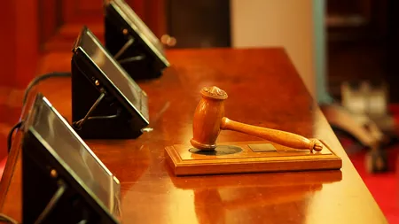 Procesul fraților Gărdean, judecați pentru dare de mită Elenei Udrea, a încetat definitiv