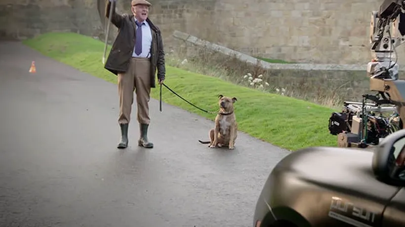 Povestea cu final fericit a celui mai singur câine din lume, ajuns star de cinema alături de Anthony Hopkins