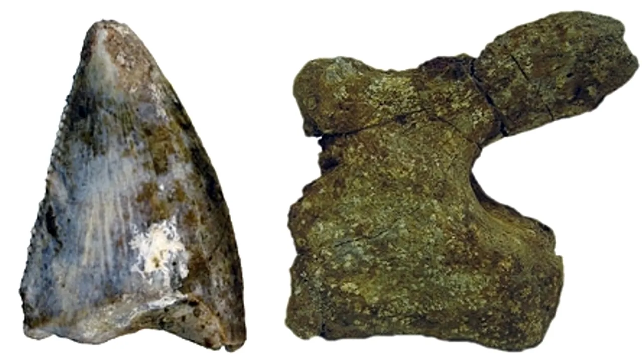 Două specii de dinozauri au fost descoperite în Peninsula Arabică