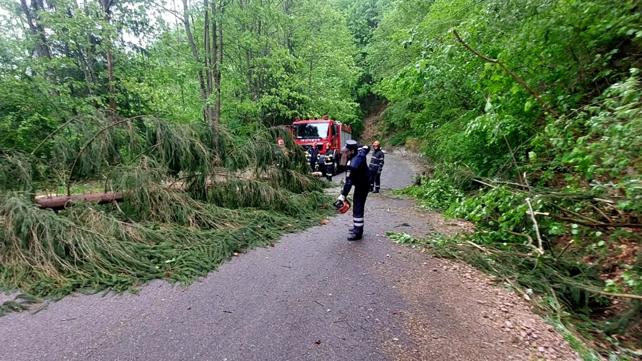 UPDATE | Cod galben de ploi și grindină în mai multe județe din România. Copaci doborâți de vântul puternic, în Cluj și Vrancea (FOTO)