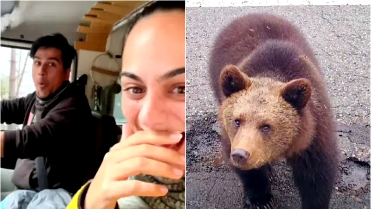 Tineri spanioli, uimiți de frumusețea României: ”Excursia ne-a schimbat viața”