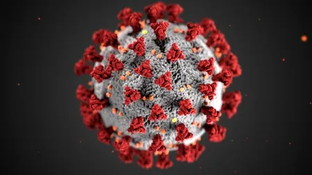 Institutul american de Evaluare în Sănătate (IHME): România ar putea avea 50.000 de infectări pe zi în octombrie. Dr. Octavian Jurma: „Vom urma scenariul indian”