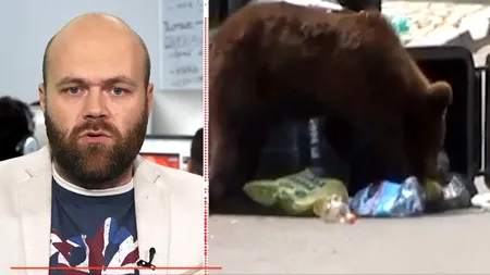 BBC: Atacurile urșilor provoacă panică în România