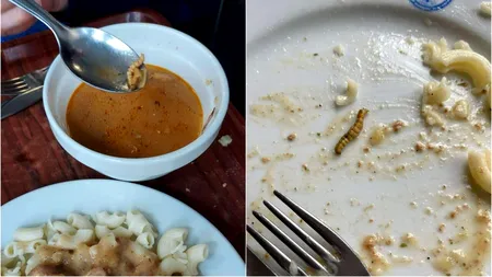 Șocant! Mâncare cu viermi la Școala de Poliție din Cluj-Napoca