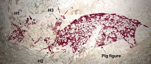 A fost descoperită CEA MAI VECHE pictură rupestră din lume. Înfăţişează oameni şi porci / Are cel puțin 51.200 de ani: „Ceva se întâmplă”