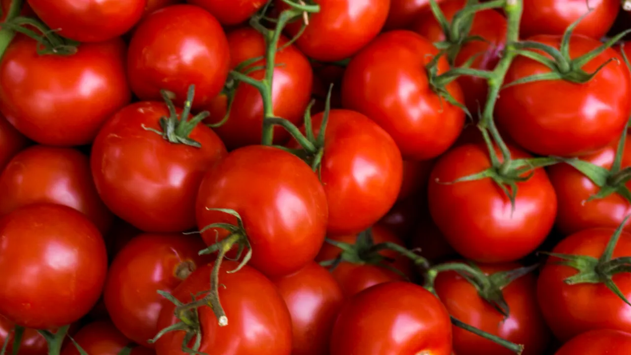 Corpul de CONTROL al Ministerului Agriculturii a ajuns la producătorii de legume din Glodeanu-Sărat. Ministrul Petre Daea s-a autosesizat în acest caz