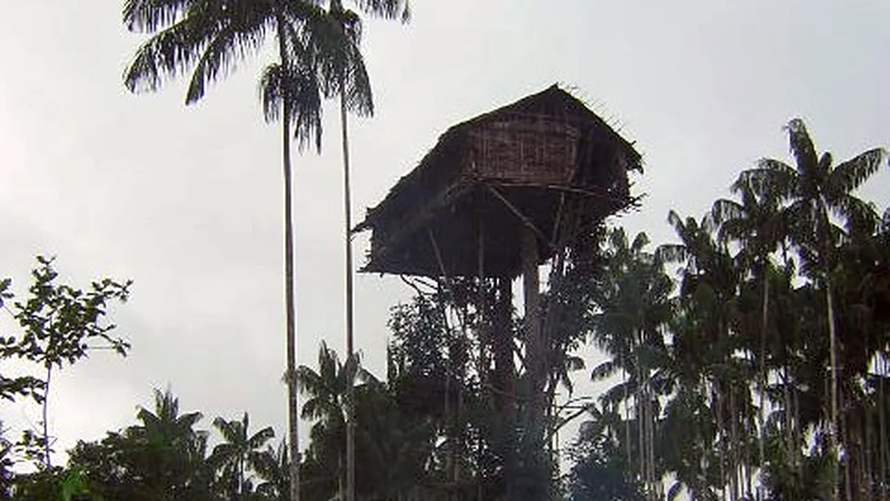 BBC recunoaște: Unul dintre cele mai apreciate documentare are scene trucate