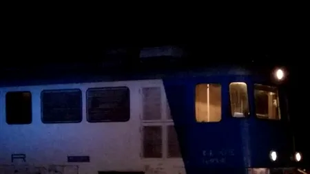 Un pui de urs, spulberat de un tren în Vrancea. Cadavrul, găsit la kilometri distanță