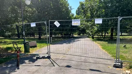 Peste 20 de grupuri civice îi cer lui Nicușor Dan să nu concesionze Parcul Izvor unei firme din grupul Untold