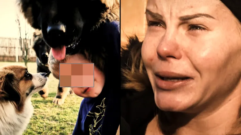 Mărturia cutremurătoare a mamei copilului sfâșiat de câine: „Până şi hoţii mi-au intrat şi mi-au mângâiat câinii”