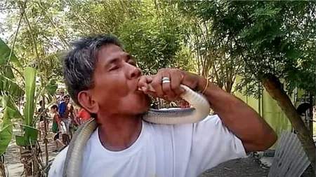 Bărbatul care se declara imun la venin a fost ucis de o cobră. „Veninul era prea puternic”  