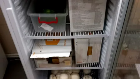 ANPC a găsit paste făinoase cu viermi, într-un KAUFLAND din Tulcea