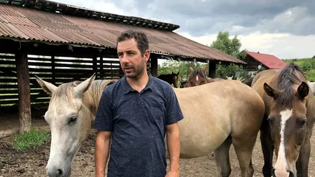 Și caii se împușcă, nu-i așa? Simi și Ioana au răspuns NU. Refugiul Caii Lupilor, locul unde CAII fără NICIO ȘANSĂ devin CAMPIONI