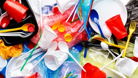 Salubrizare 5: Deșeurile din PLASTIC şi impactul lor asupra mediului (P)