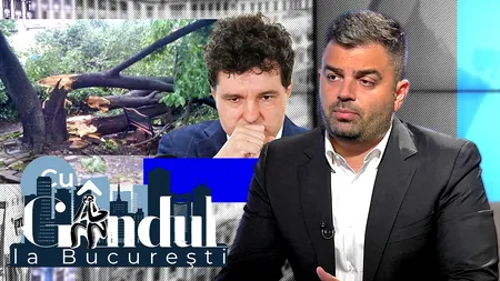 EXCLUSIV VIDEO | Adrian Vigheciu, consilier general: „Nicușor Dan nu emite avize de toaletare, iar copacii devin pericol public”