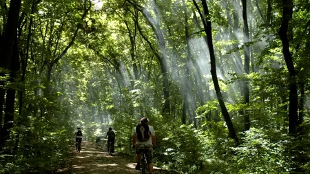 Cinci idei de weekend pentru cei care vor să evite AGLOMERAȚIA DE PE LITORAL. Unde poți face bungee-jumping, degustări de vinuri sau plimbări cu bicicleta prin pădure