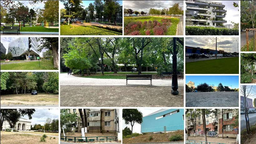 Asociația ÎntreVecini solicită creșterea suprafeței spațiilor verzi din orașele din România