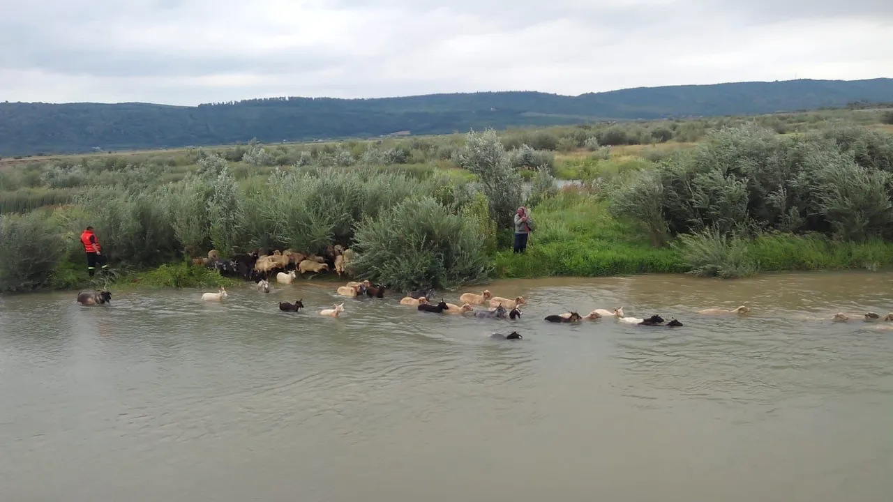 IGSU, despre ravagiile făcute în România de vremea rea:  31 de localități din 14 județe afectate de ploi torențiale și vijelii 