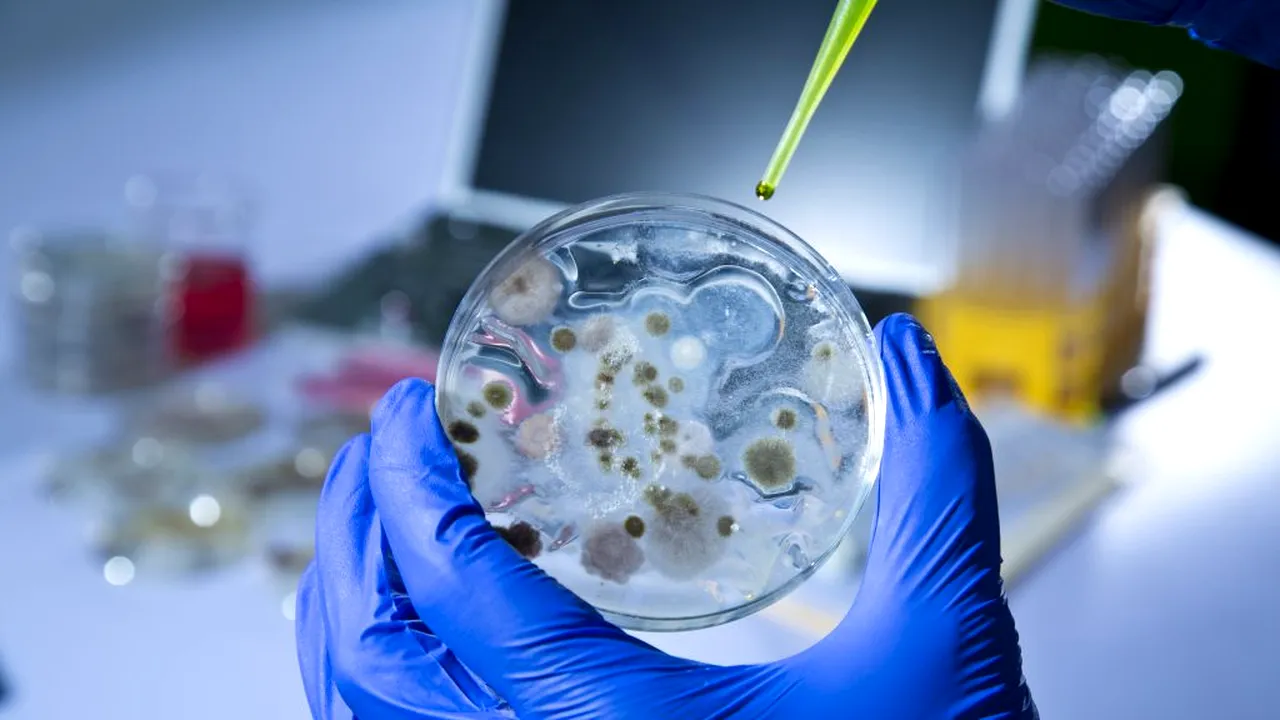 Situație de groază în spitale. Medic infecționist: „Nu vom putea şti câţi pacienţi cu COVID-19 aveau şi infecţii luate din spital”