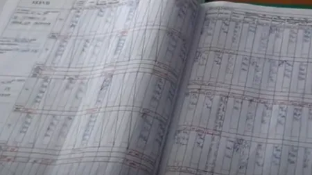 Ministerul Educației: Ocupația, locul de muncă și profesia părinților nu vor mai fi trecute în catalogul clasei