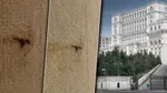 După ce Gândul a semnalat încă un loc prin care n-au trecut cei de la curăţenie, s-au spălat draperiile şi la grupul PNL din Parlament