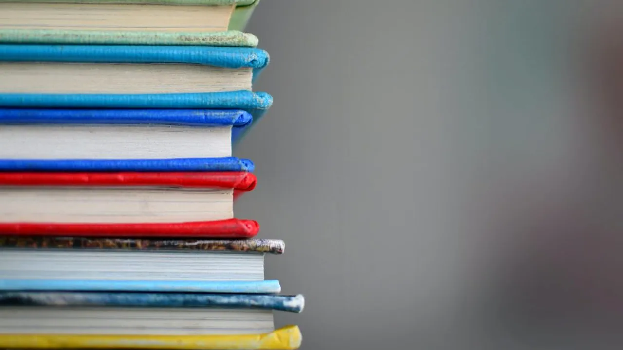 EDUCAȚIE. Părerea unui elev despre școala online: „Lecţiile sunt plictisitoare, zici că te uiţi la un videoclip pe YouTube”