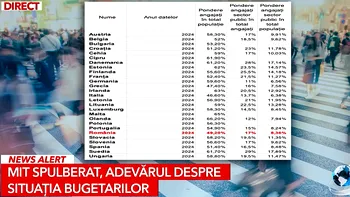 Mit spulberat. România are printre cei mai puțini angajați la stat, raportat la numărul de locuitori