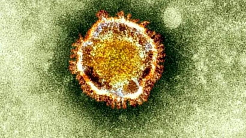 Cercetătorii au descoperit un virus mai periculos decât SARS