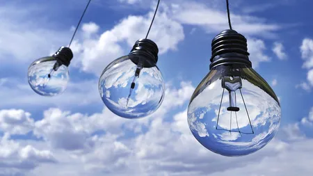 Companiile de utilități din energie ridică spre dezbatere o problemă: cine verifică declarațiile consumatorilor care primesc tarife plafonate?
