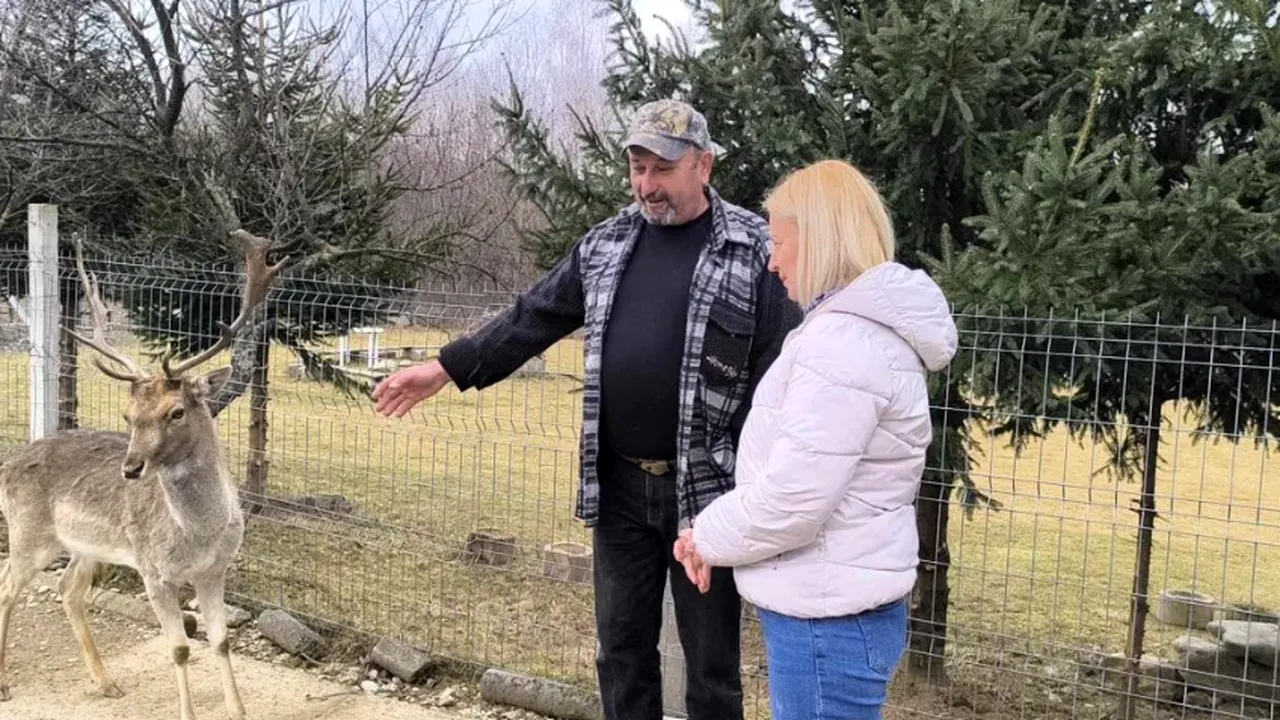 Grădină zoo în CAP. Un brașovean a transformat o ruină într-o atracție turistică completă