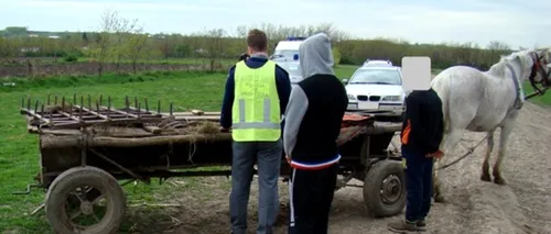 Descoperire-surpriză într-o pădure din Botoșani: Ce au găsit polițiștii pe fundul acestei căruțe